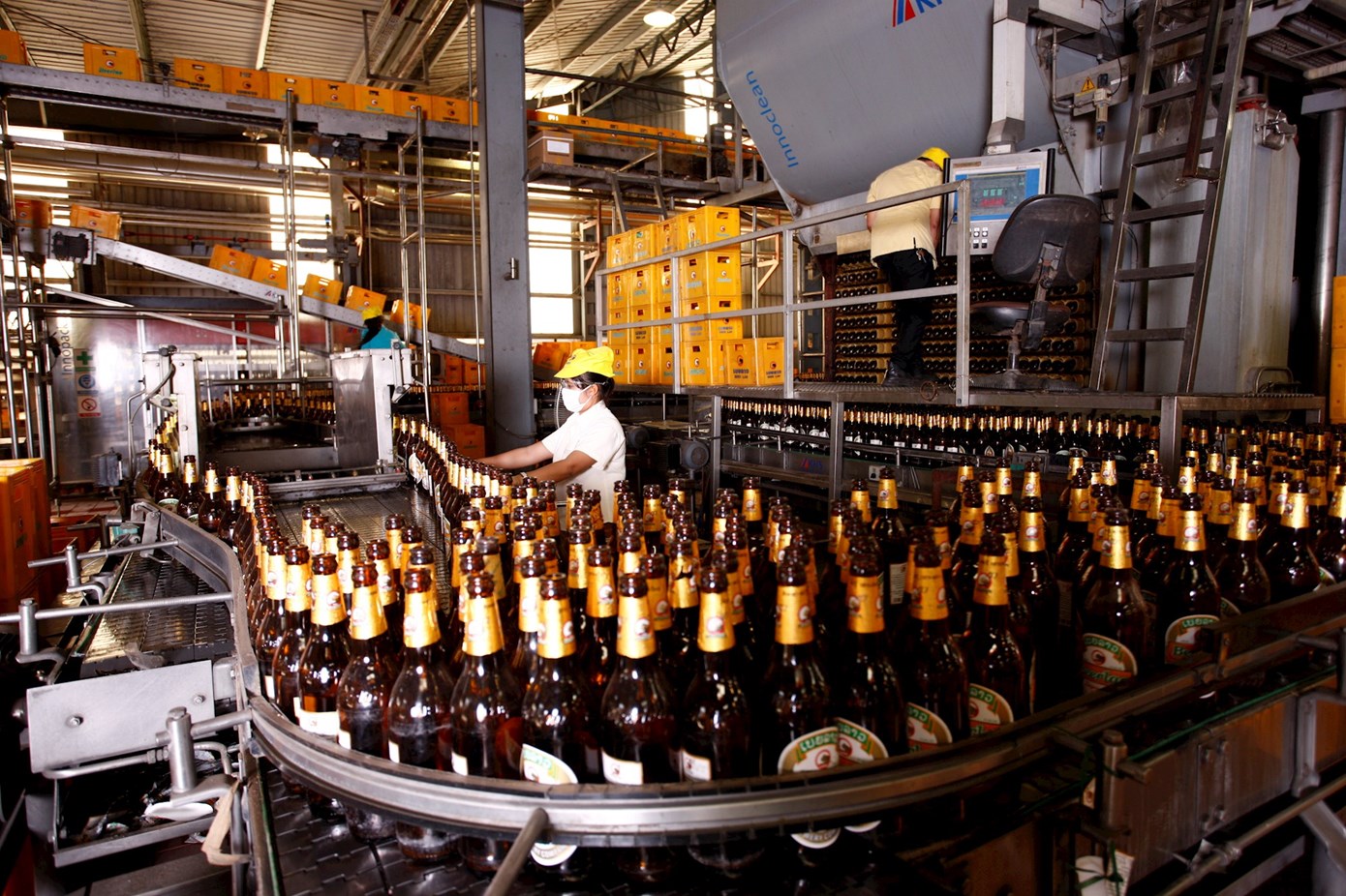 Process and technology of fruit wine white wine production line
